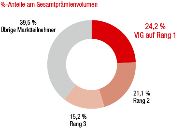 Österreich – Marktanteile der grössten Versicherungsgruppen (Ringdiagramm) Österreich – Marktanteile der grössten Versicherungsgruppen (Ringdiagramm)